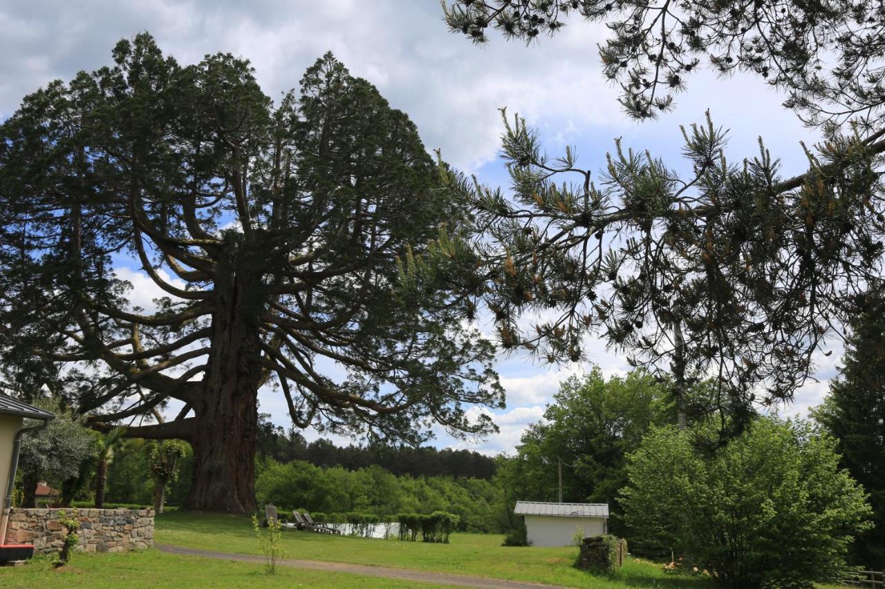 Hostellerie La Bruyere Chalvignac Bagian luar foto
